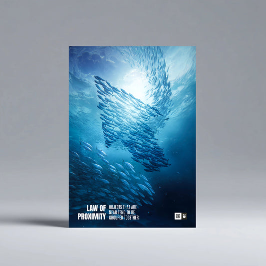 Law of Proximity - UX Laws