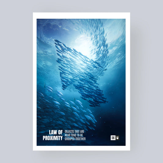 Law of Proximity - UX Laws