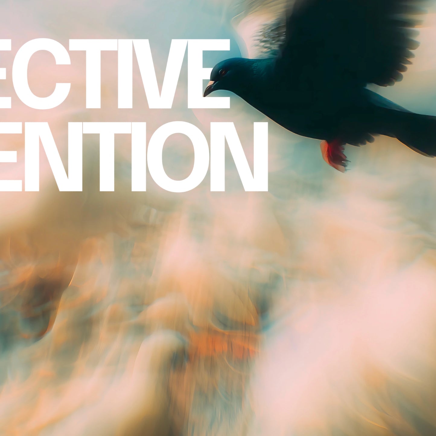 Selective Attention - UX Laws