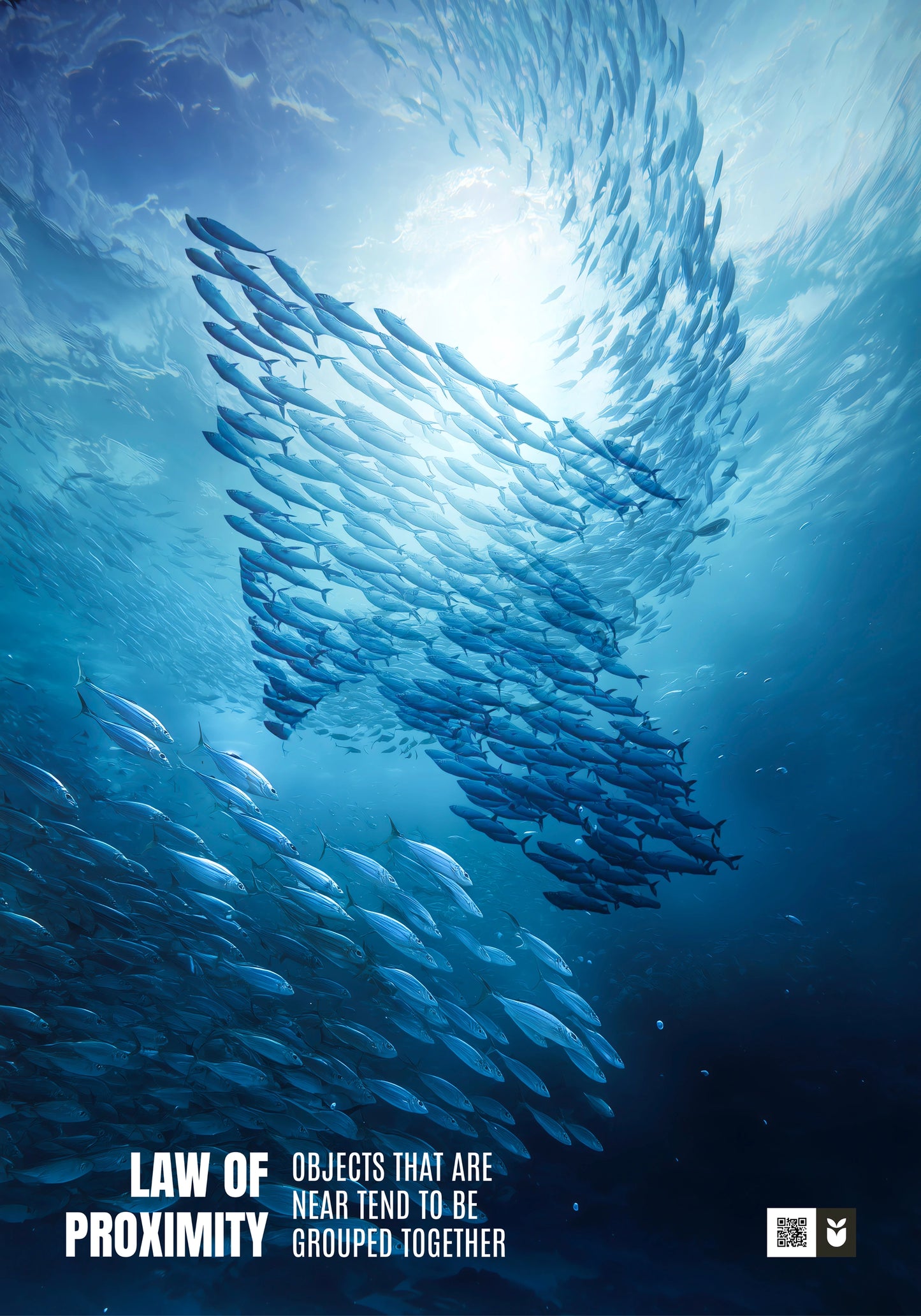 Law of Proximity - UX Laws